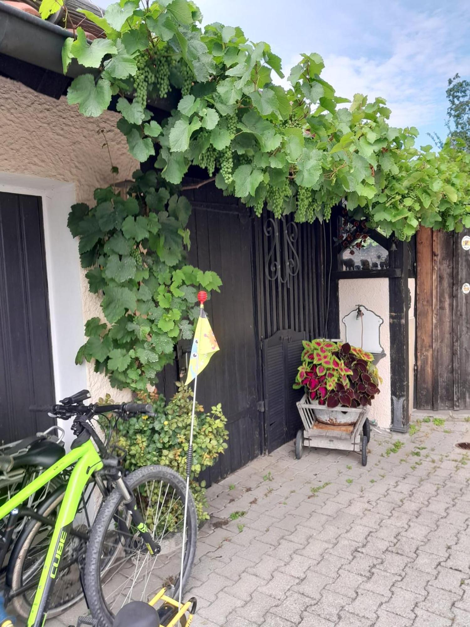 Ferienhaus Resch Laufen Exteriér fotografie