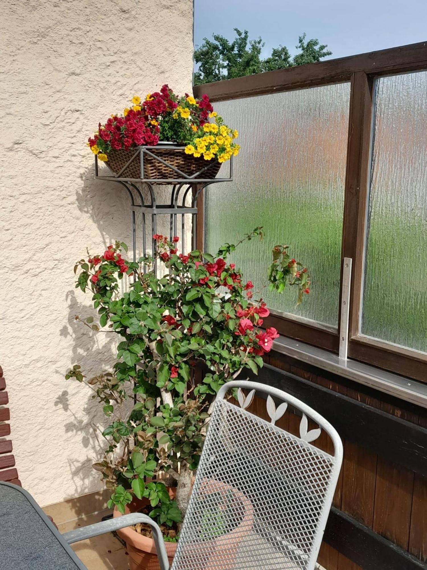 Ferienhaus Resch Laufen Exteriér fotografie